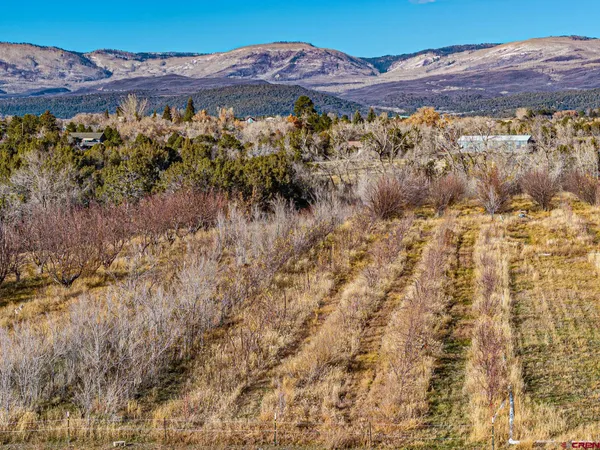 a view of a with lush green outdoor space and mountain view