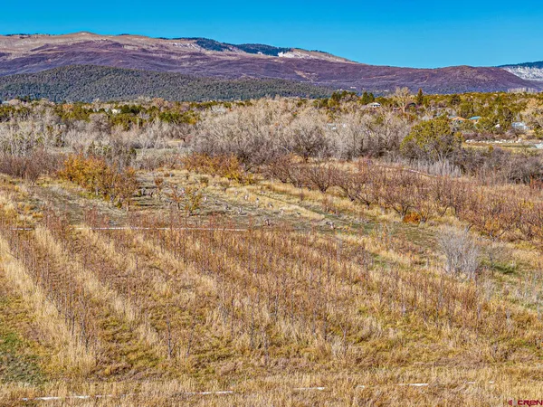 a view of city and mountain