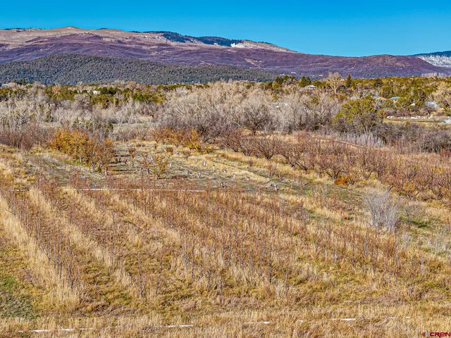 a view of city and mountain