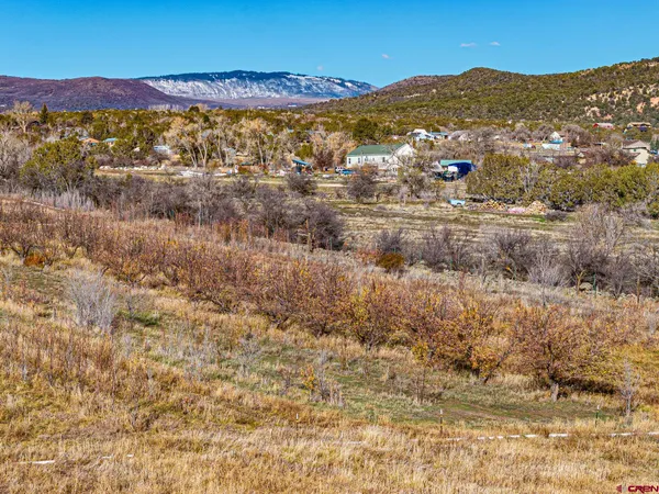 a view of a garden with an outdoor space
