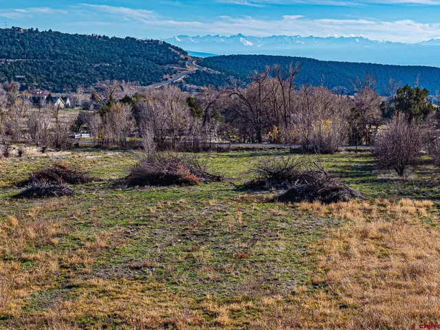 $665,000 | 794 Northeast Indian Camp Avenue, Cedaredge, CO 81413