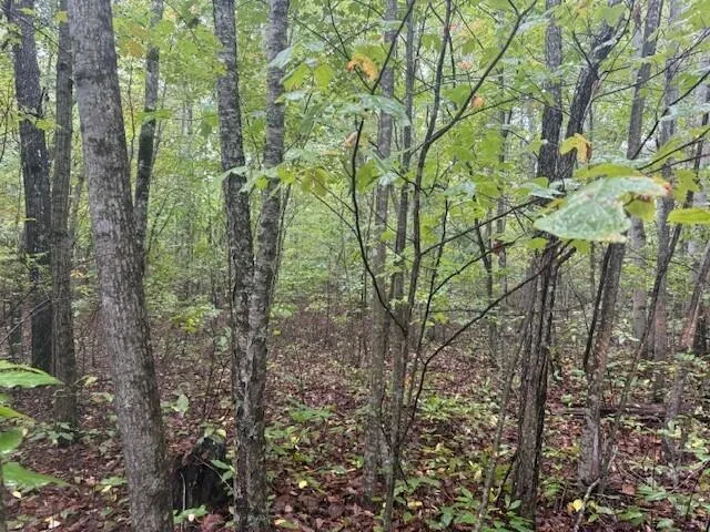 $150,000 | 14 Sawmill Road, Unit 14, Palmer, TN 37365