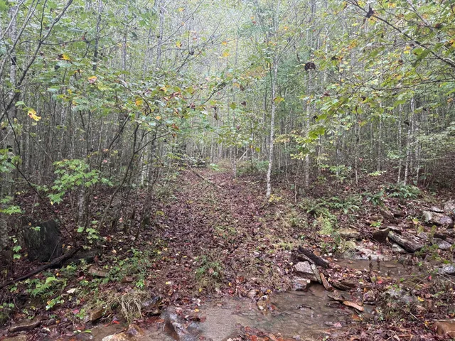 $150,000 | 14 Sawmill Road, Unit 14, Palmer, TN 37365