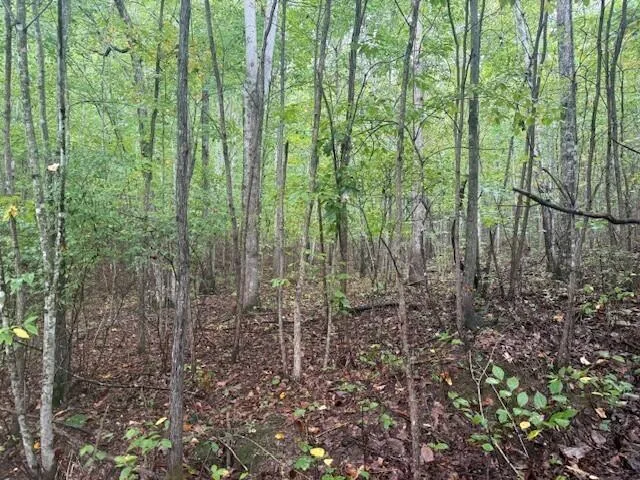 $150,000 | 14 Sawmill Road, Unit 14, Palmer, TN 37365