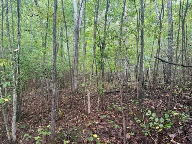 14 Sawmill Road, Unit 14 Palmer, TN 37365 - Photo 5 of 12 13