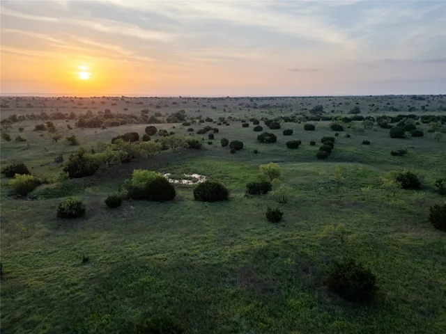 a view of a green field with lots of trees in it