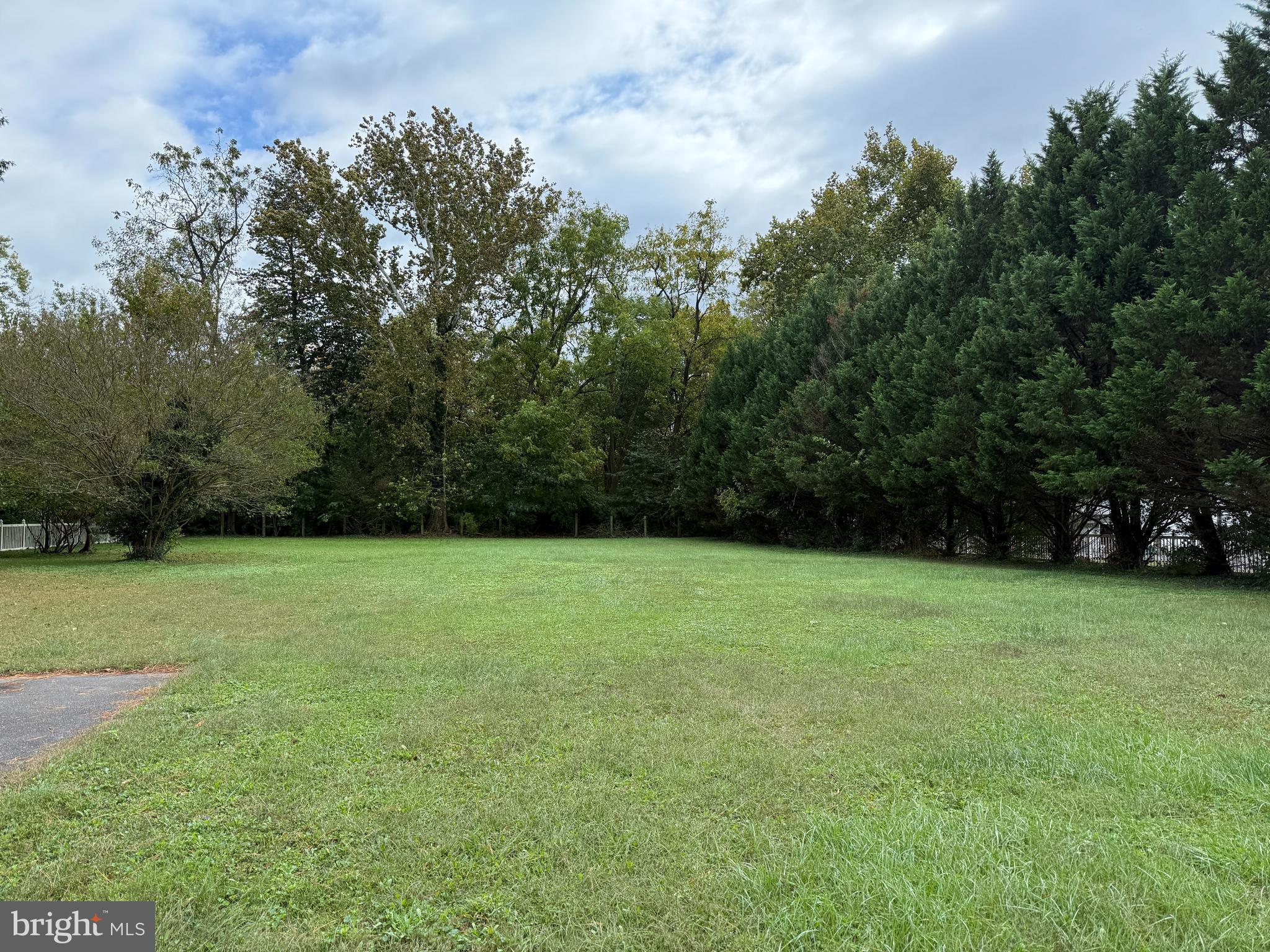 314 Kerr Avenue Denton, MD 21629 - Photo 2 of 19 a view of a field of grass and trees