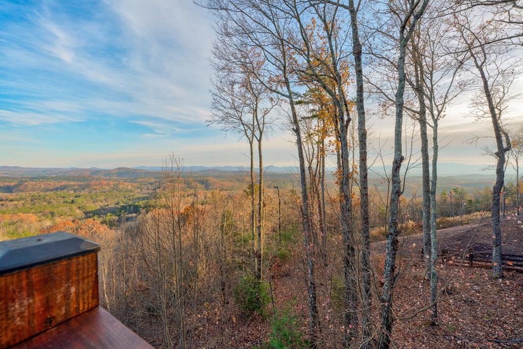 588 Tower Road Mineral Bluff, GA 30559 - Photo 38 of 74