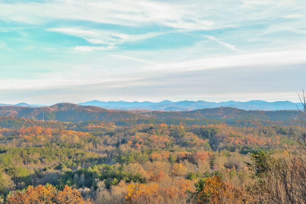 588 Tower Road Mineral Bluff, GA 30559 - Photo 40 of 74