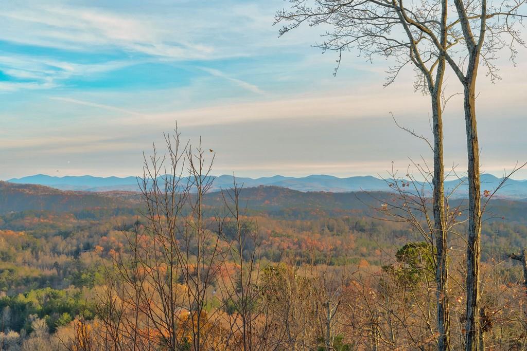 588 Tower Road Mineral Bluff, GA 30559 - Photo 42 of 74