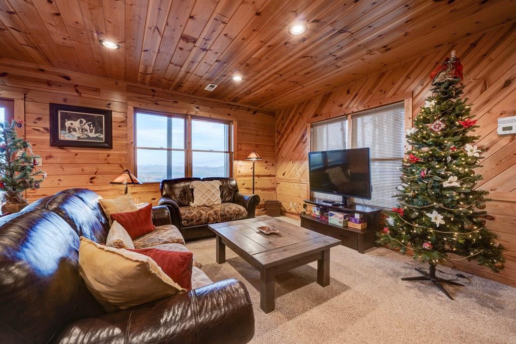 588 Tower Road Mineral Bluff, GA 30559 - Photo 55 of 74