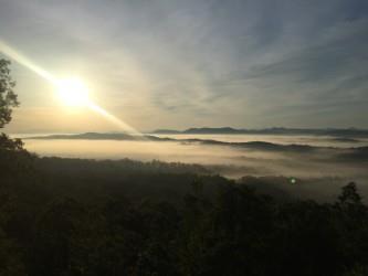 588 Tower Road Mineral Bluff, GA 30559 - Photo 71 of 74