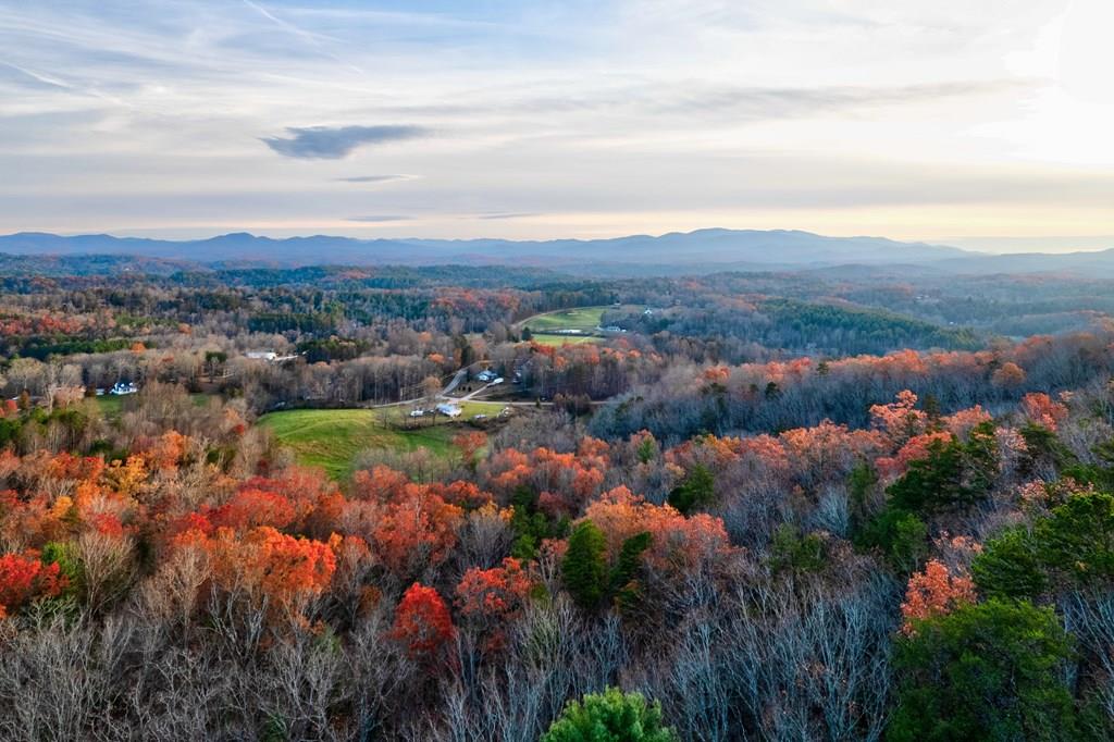 588 Tower Road Mineral Bluff, GA 30559 - Photo 9 of 74