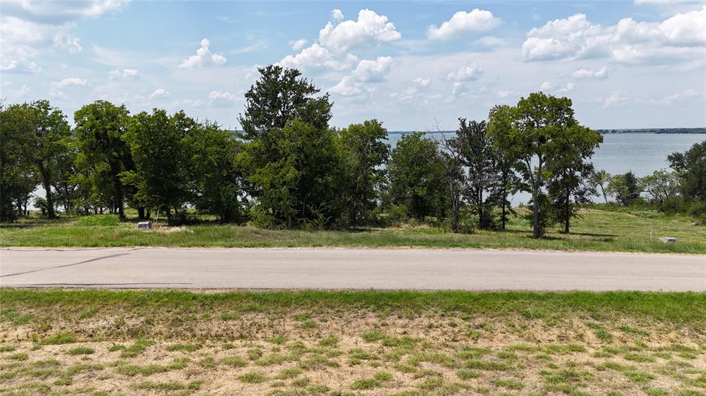 Lot 32 Opal Drive Corsicana, TX 75109 - Photo 14 of 40 a view of a yard with an trees