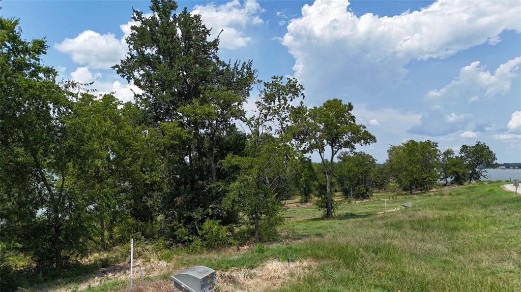Lot 32 Opal Drive Corsicana, TX 75109 - Photo 15 of 40 a view of a green yard