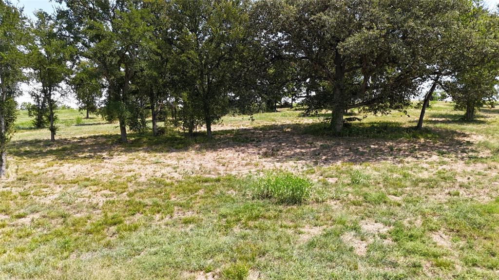 Lot 32 Opal Drive Corsicana, TX 75109 - Photo 25 of 40 a view of a yard with large trees