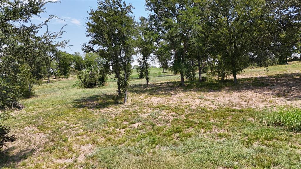 Lot 32 Opal Drive Corsicana, TX 75109 - Photo 26 of 40 a view of a tree in the middle of a yard