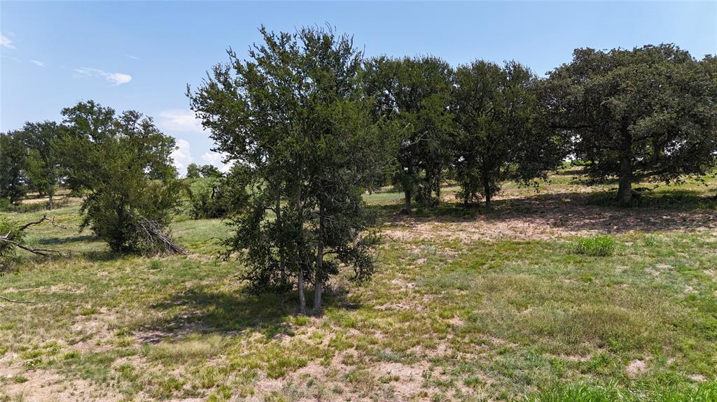 Lot 32 Opal Drive Corsicana, TX 75109 - Photo 28 of 40 a view of a yard with trees