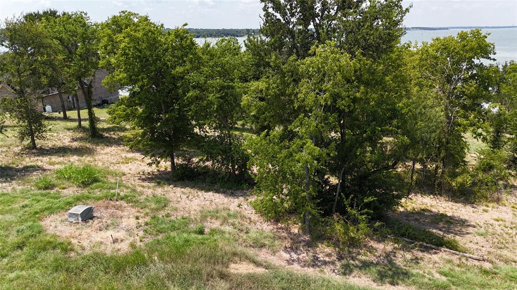 Lot 32 Opal Drive Corsicana, TX 75109 - Photo 33 of 40 a view of a yard with plants and large trees