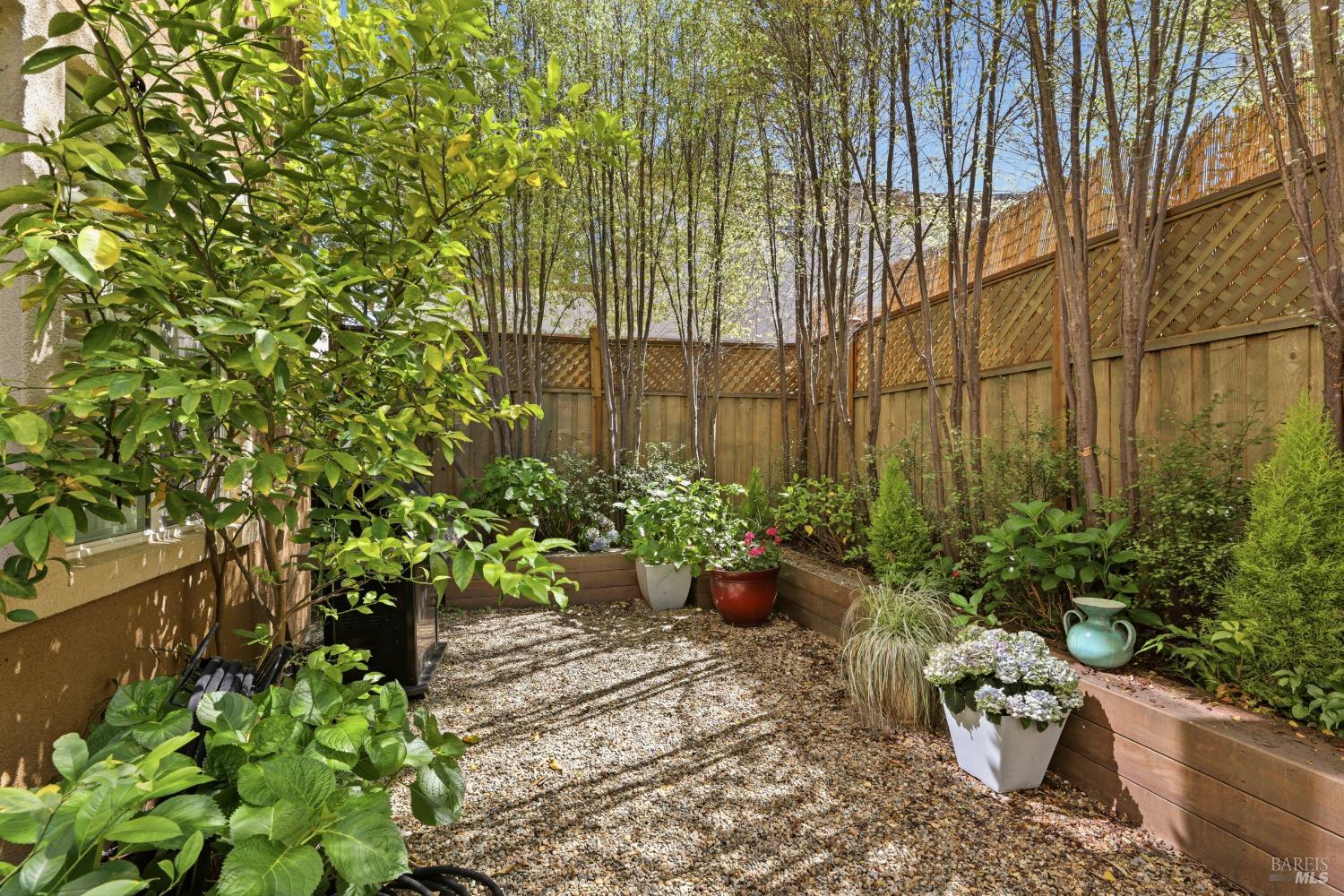5533 Kennedy Place Rohnert Park, CA 94928 - Photo 28 of 63 a view of a backyard with potted plants