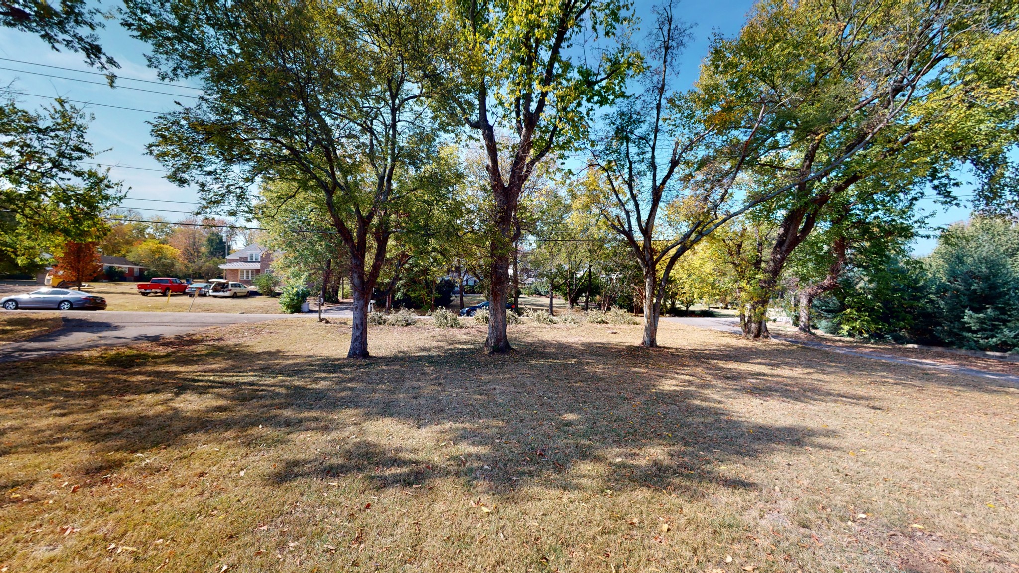 774 Elysian Fields Road Nashville, TN 37204 - Photo 14 of 43 a view of road with trees