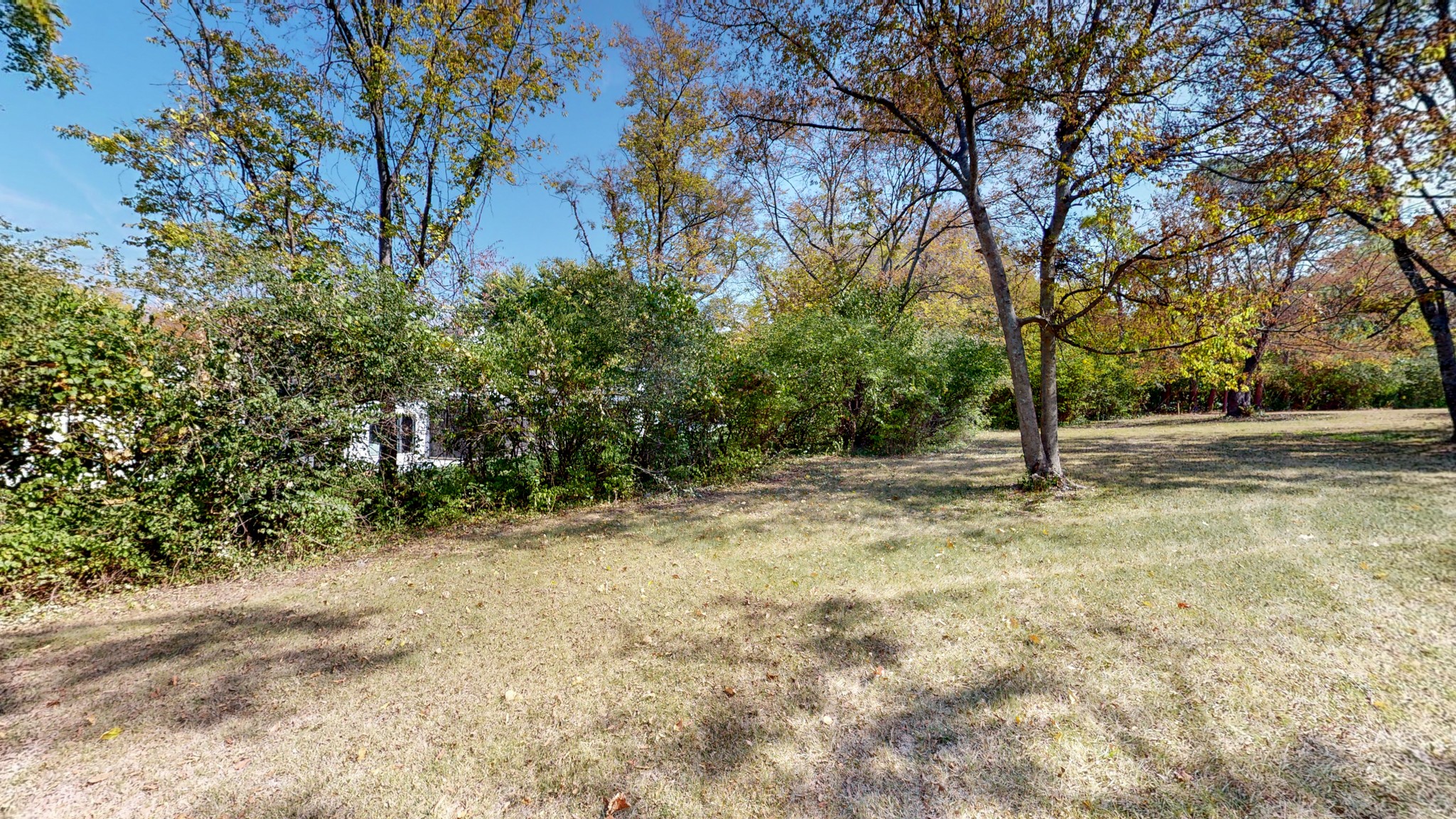 774 Elysian Fields Road Nashville, TN 37204 - Photo 18 of 43 a view of a tree with a yard