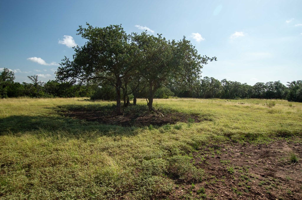 252 Elrincon Road Mountain Home, TX 78058 - Photo 10 of 29