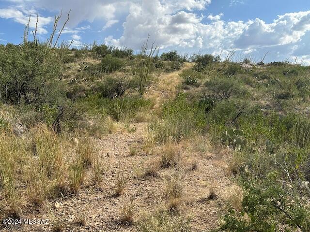 8167 South Pistol Hill Road Vail, AZ 85641 - Photo 10 of 36