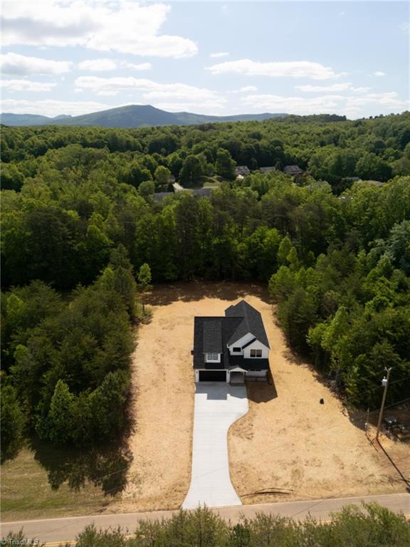 482 Carson Road Pilot Mountain, NC 27041 - Photo 8 of 41