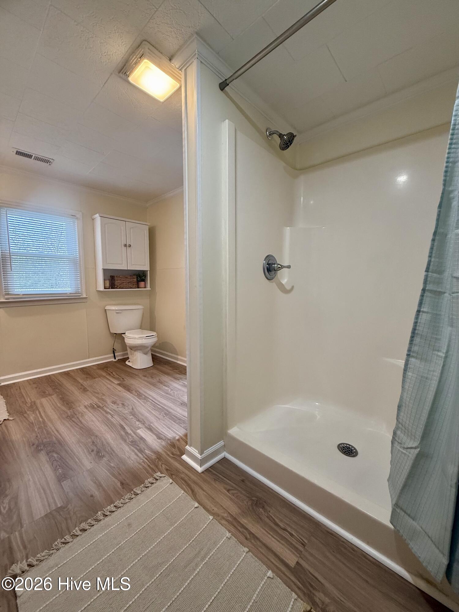 36 1st Street Chocowinity, NC 27817 - Photo 34 of 42 Bathroom