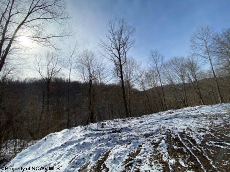 Tbd Tbd Walnut Alum Bridge Alum Bridge, WV 26321 - Photo 4 of 9 Gallery Image 4