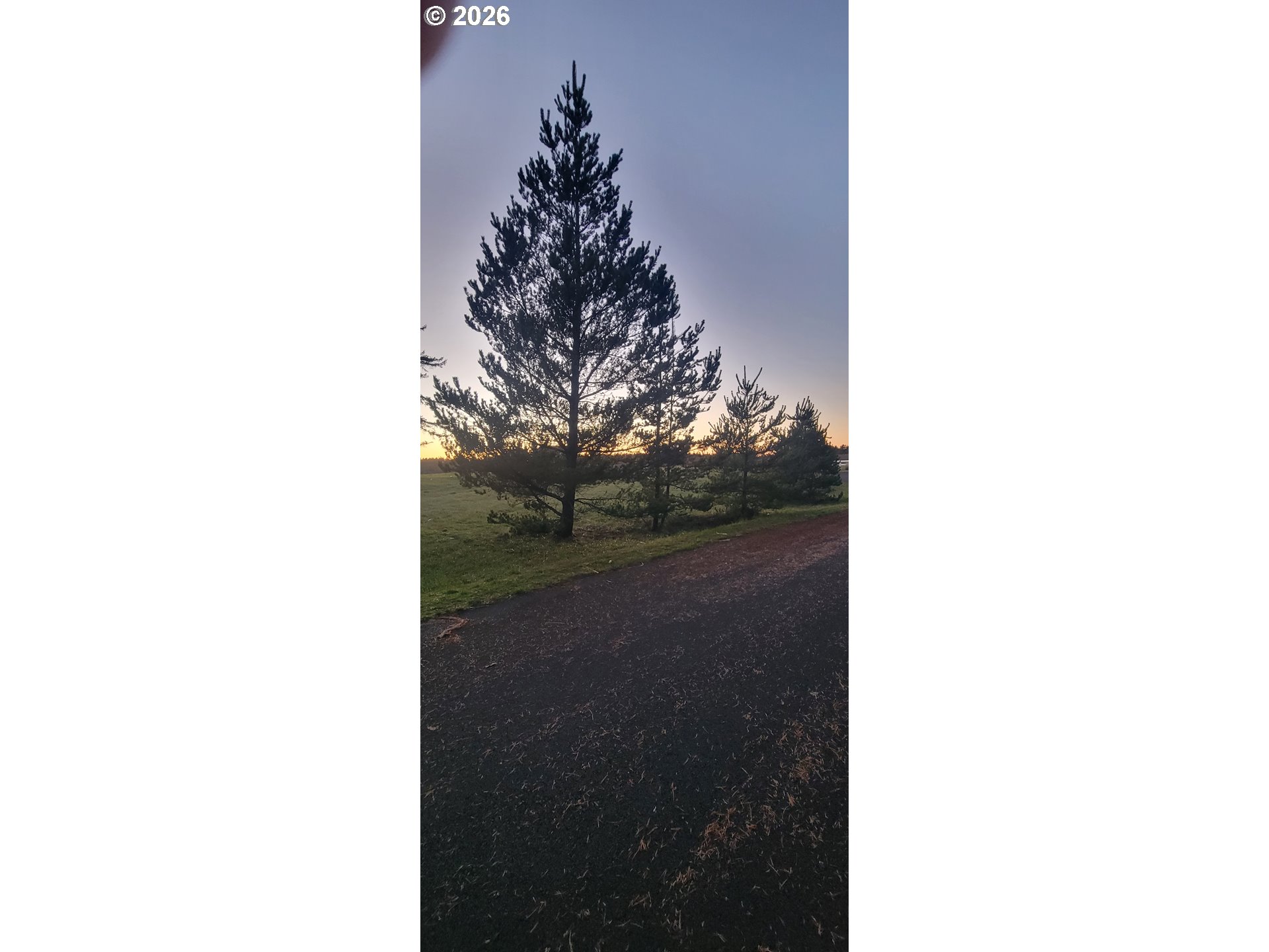 90836 Kennedy Road Warrenton, OR 97146 - Photo 6 of 10