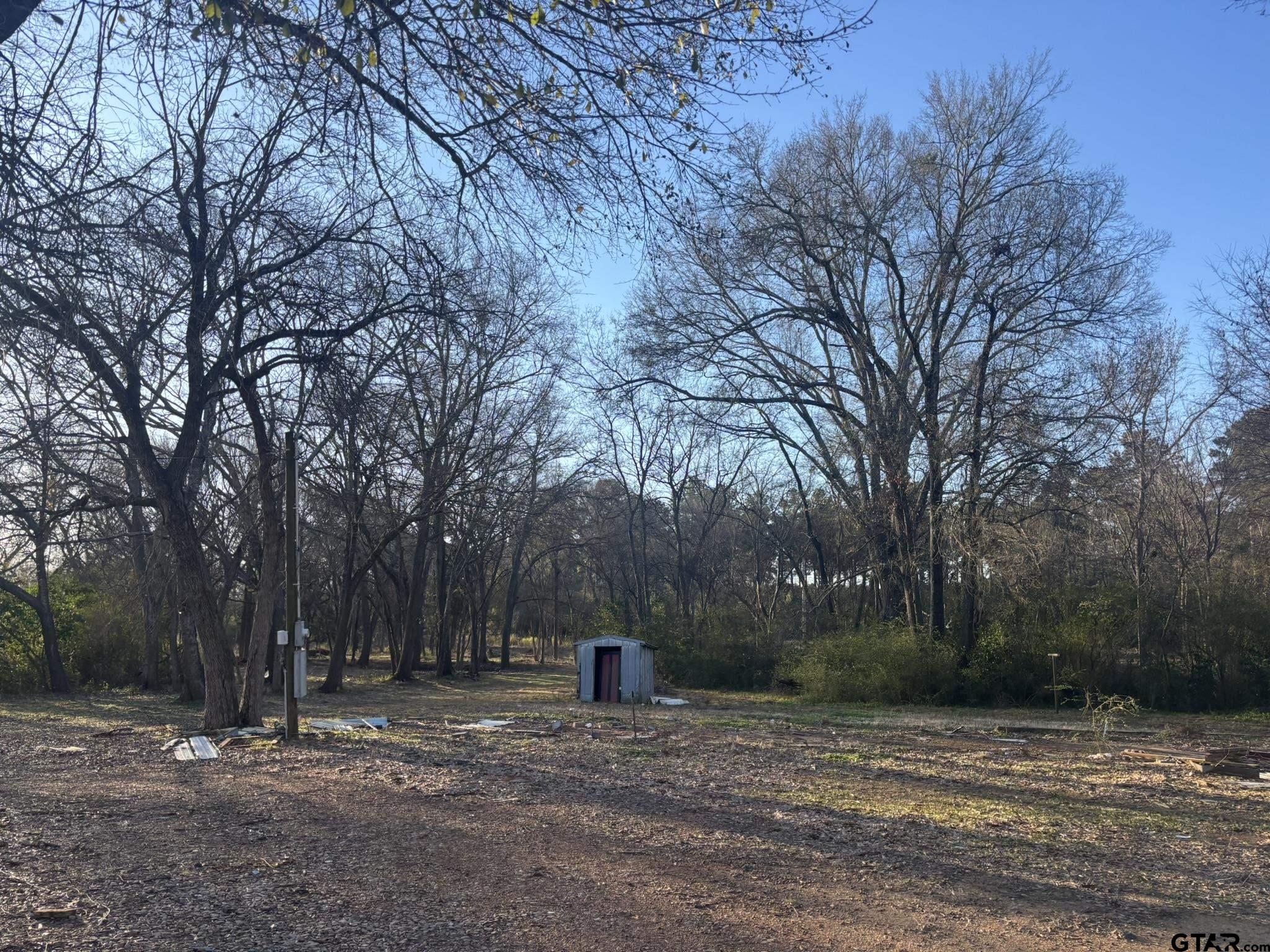 609 Jefferson Street Pittsburg, TX 75686 - Photo 2 of 5 a view of a field with trees in the background