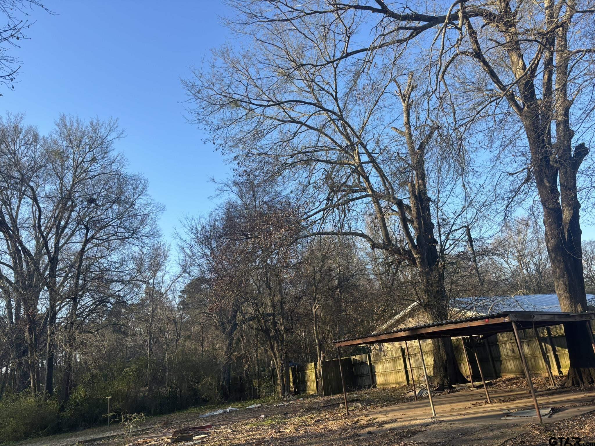 609 Jefferson Street Pittsburg, TX 75686 - Photo 3 of 5 a view of street with large trees