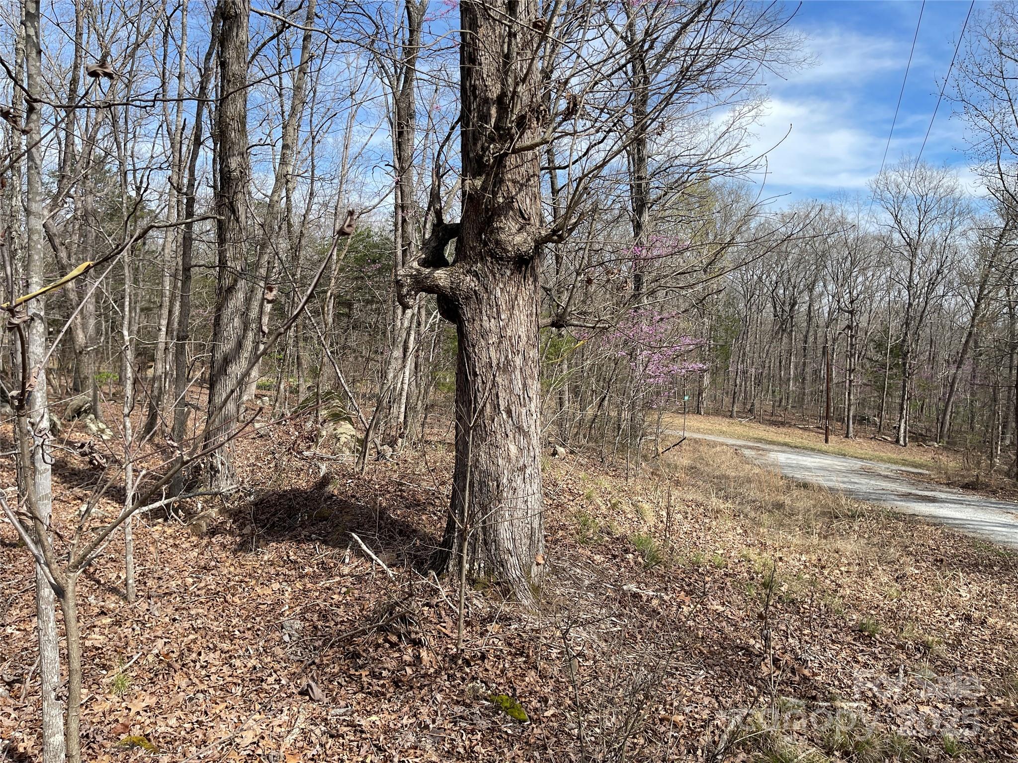 0 Pioneer Trail Denton, NC 27239 - Photo 11 of 21