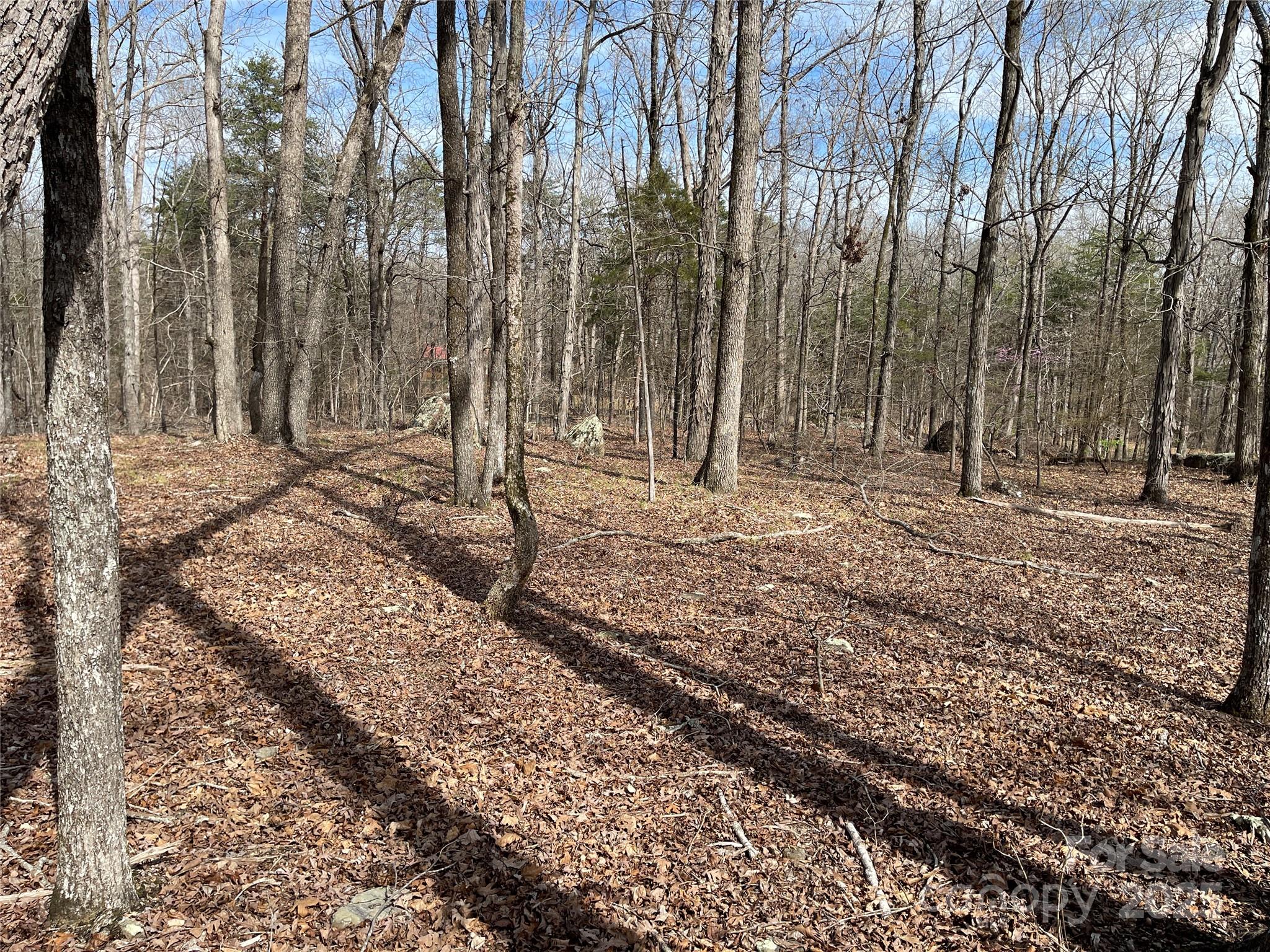 0 Pioneer Trail Denton, NC 27239 - Photo 12 of 21