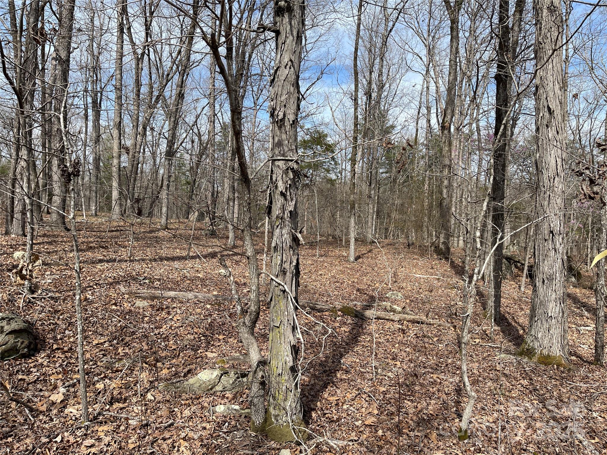 0 Pioneer Trail Denton, NC 27239 - Photo 13 of 21