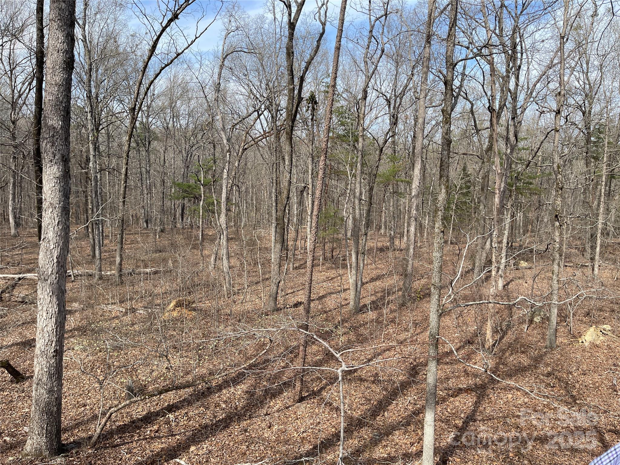 0 Pioneer Trail Denton, NC 27239 - Photo 15 of 21