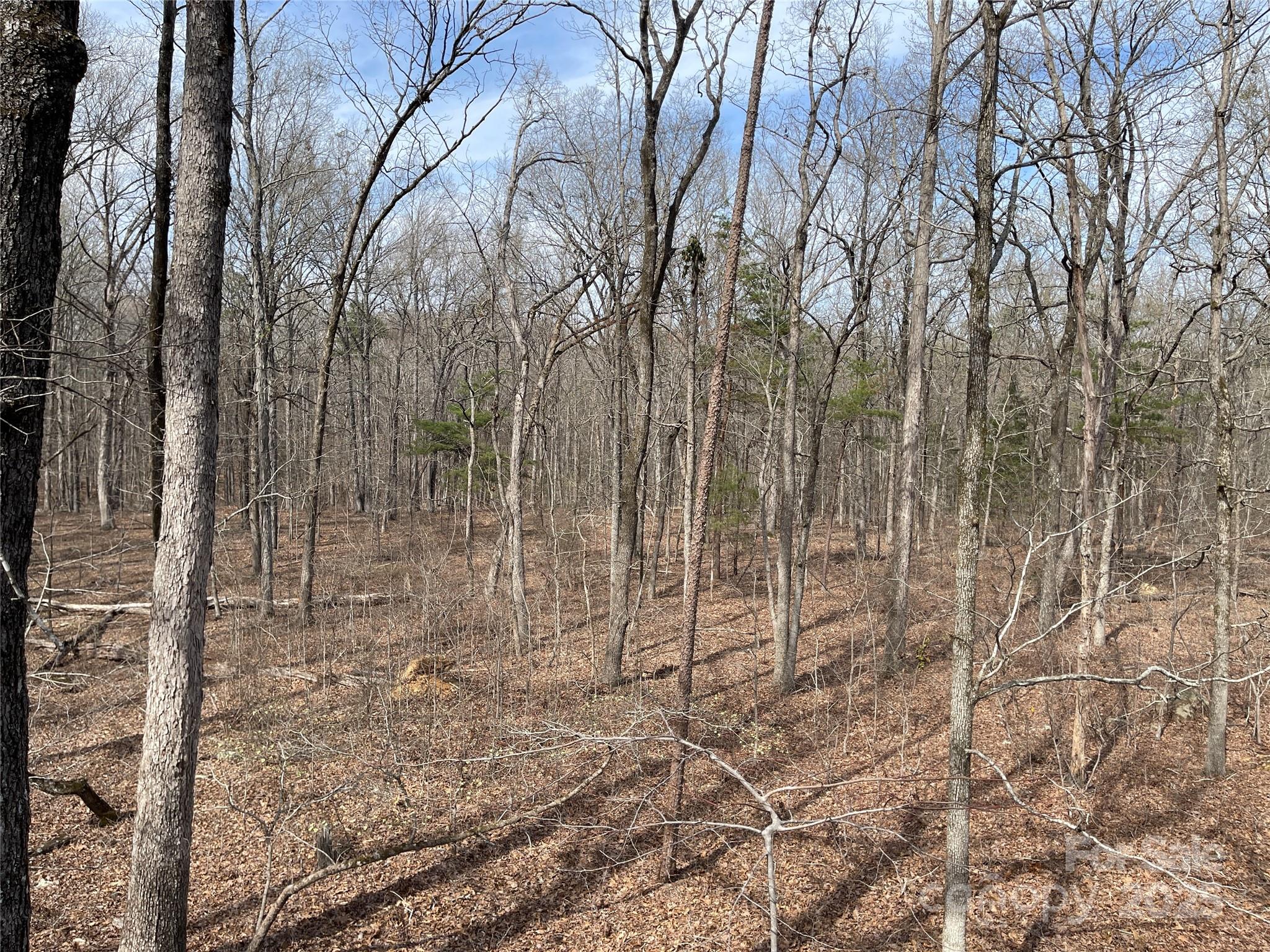 0 Pioneer Trail Denton, NC 27239 - Photo 16 of 21