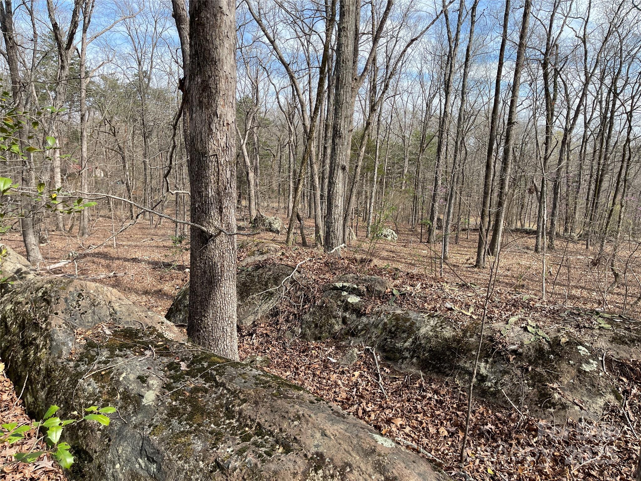 0 Pioneer Trail Denton, NC 27239 - Photo 18 of 21