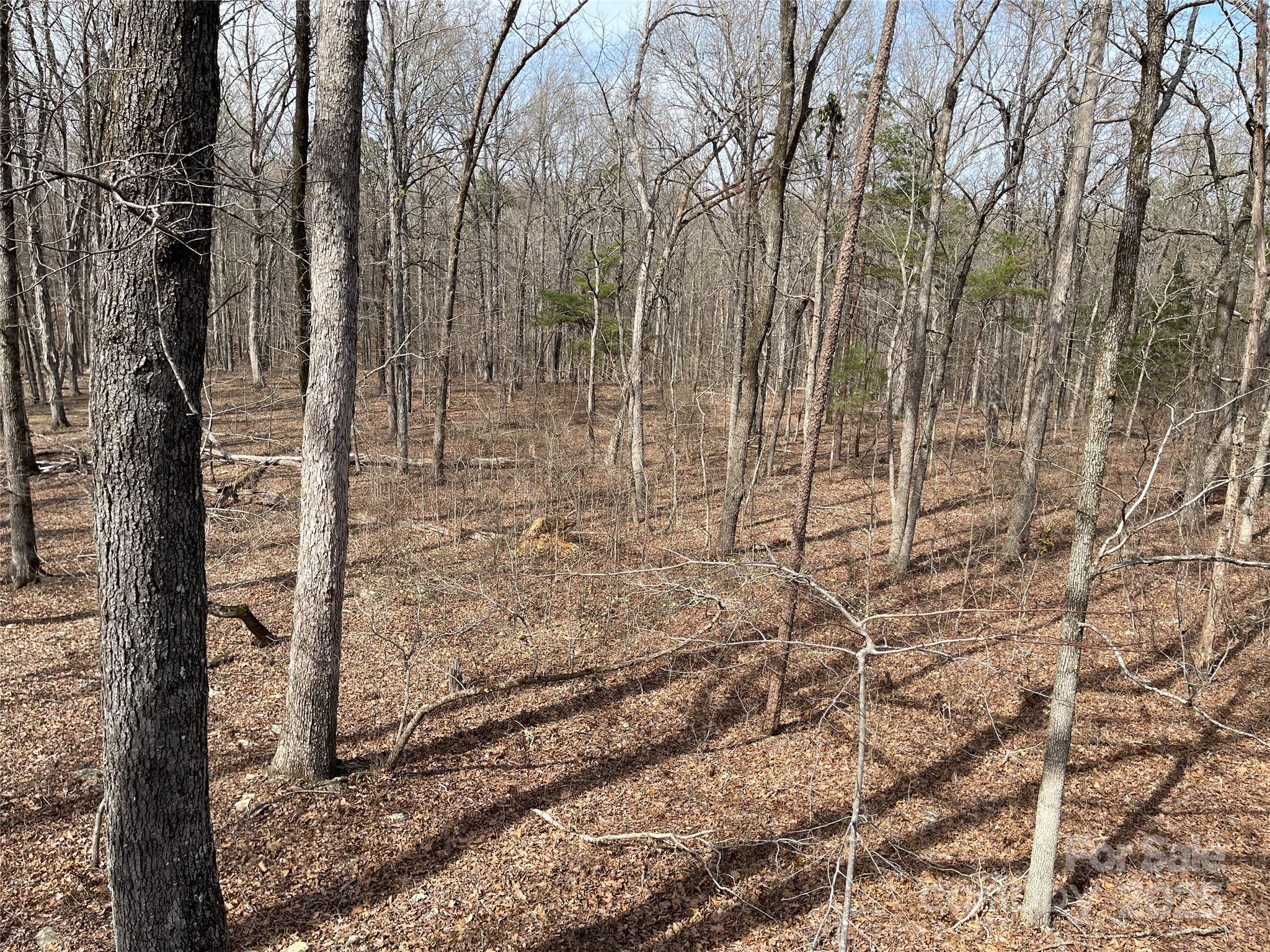 0 Pioneer Trail Denton, NC 27239 - Photo 20 of 21