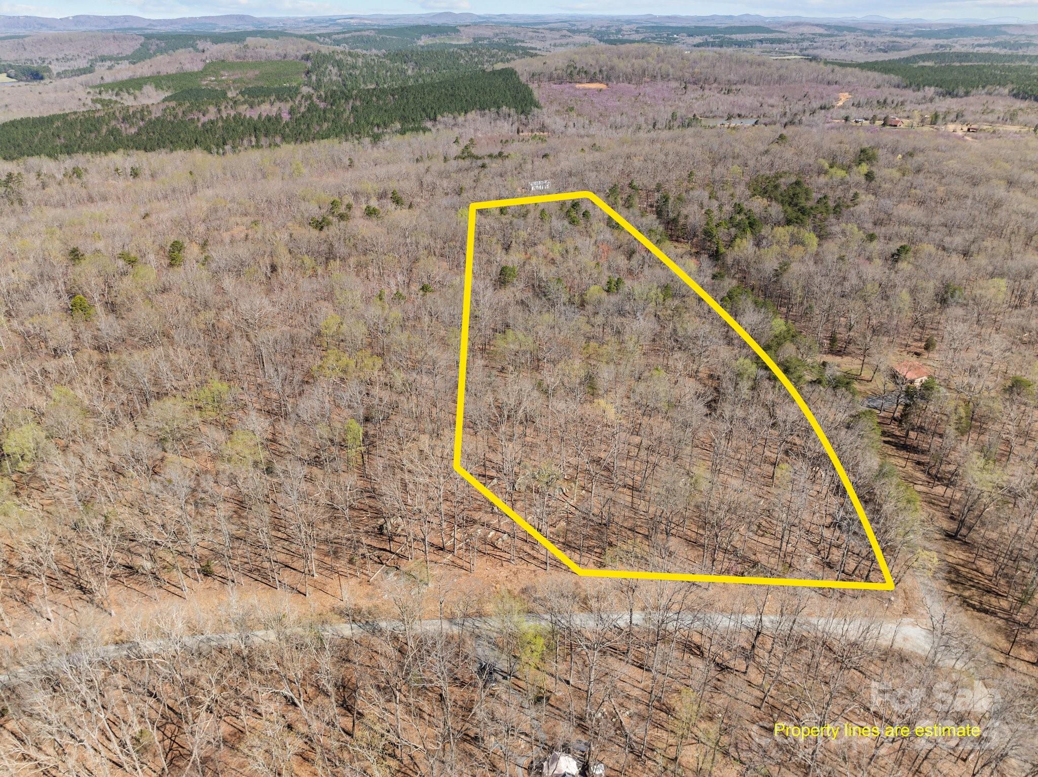 0 Pioneer Trail Denton, NC 27239 - Photo 2 of 21