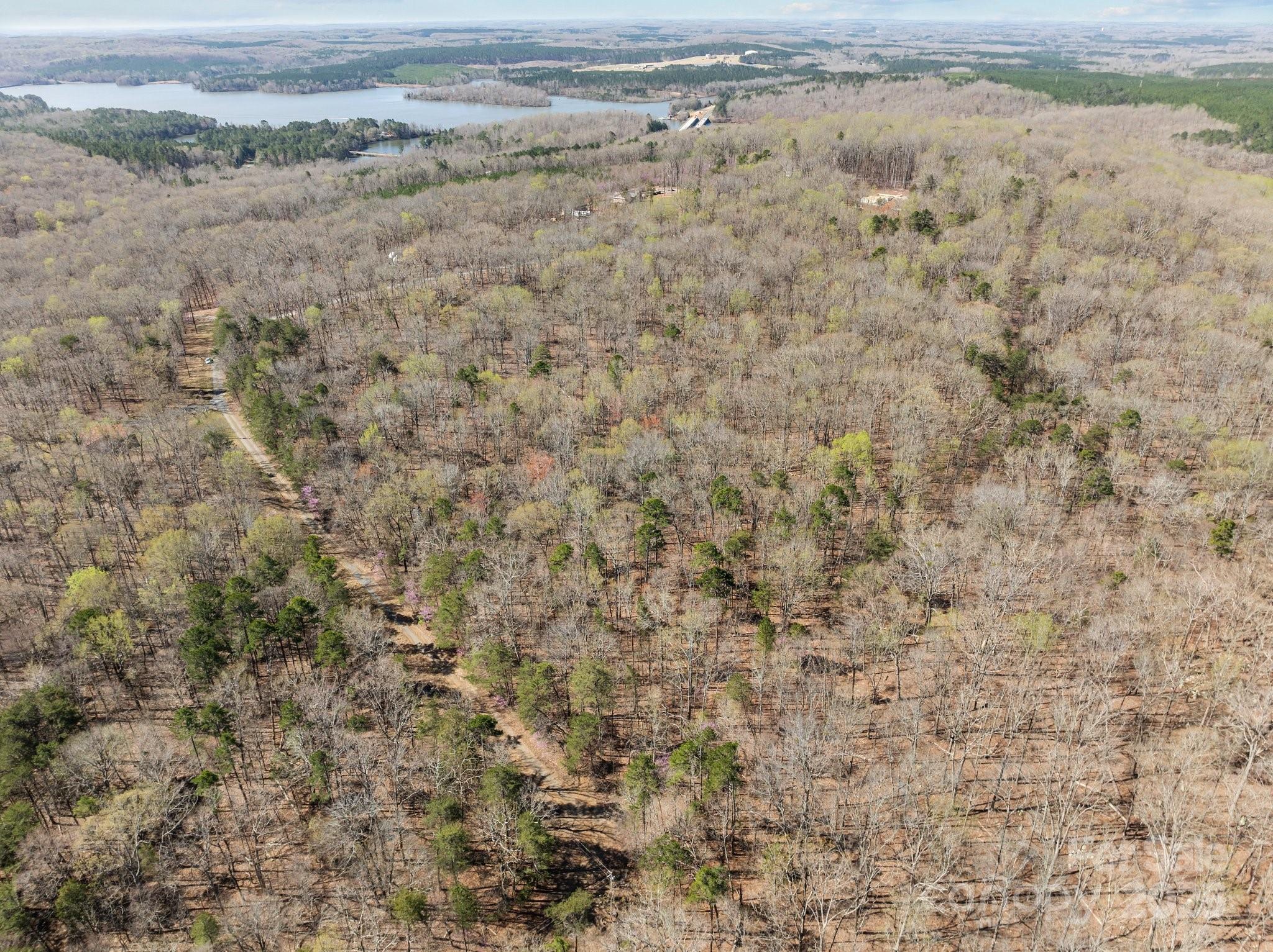 0 Pioneer Trail Denton, NC 27239 - Photo 3 of 21