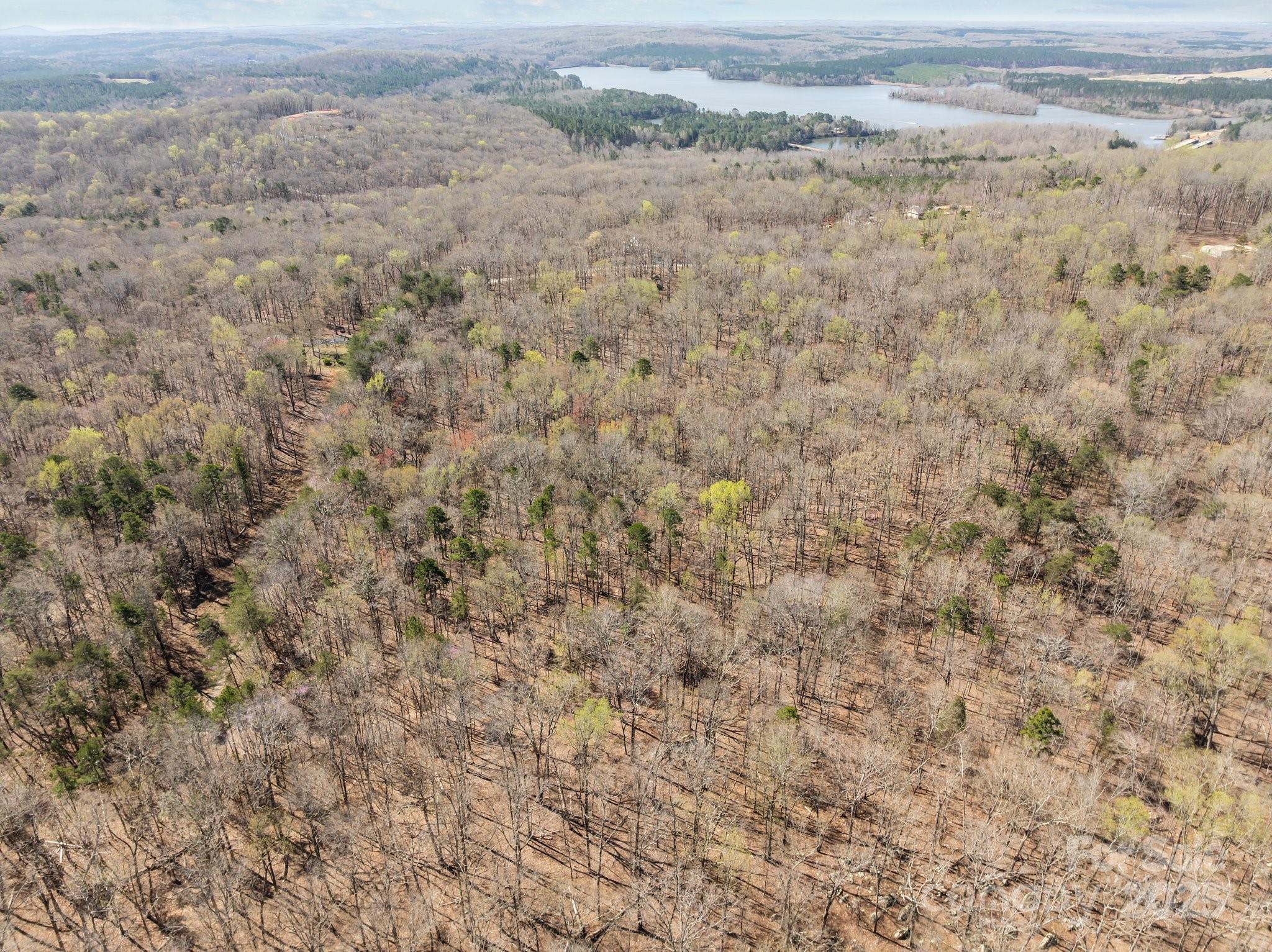 0 Pioneer Trail Denton, NC 27239 - Photo 5 of 21