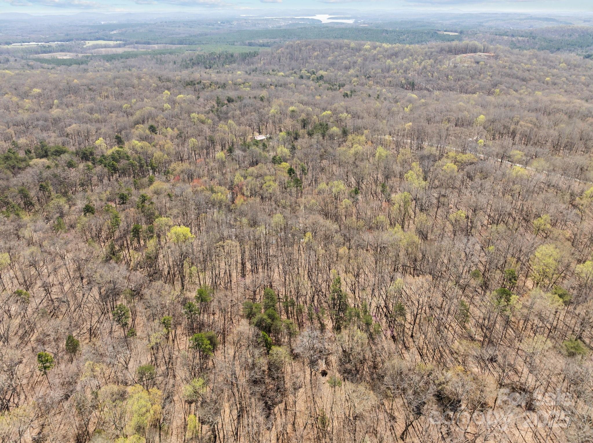0 Pioneer Trail Denton, NC 27239 - Photo 6 of 21