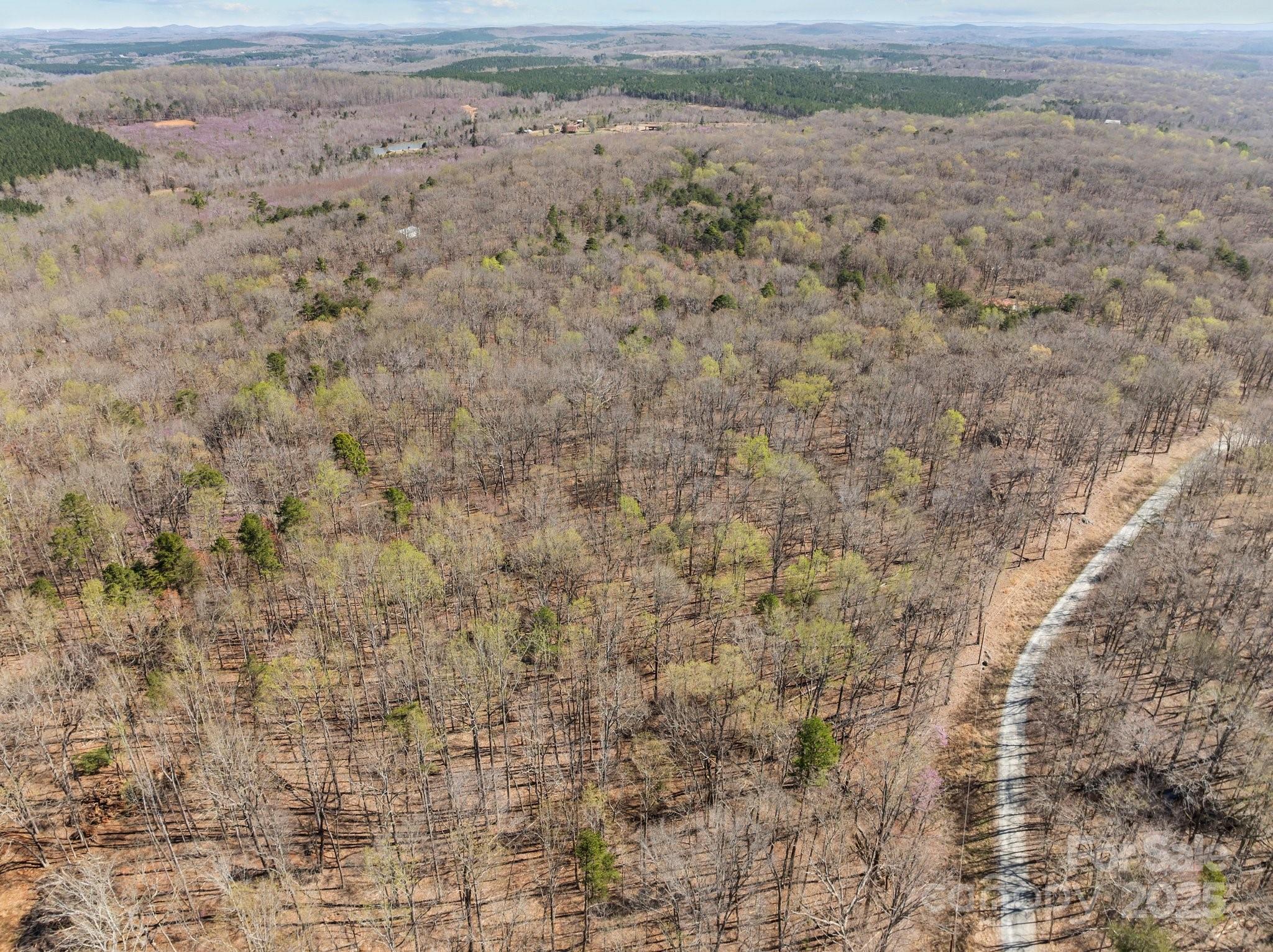0 Pioneer Trail Denton, NC 27239 - Photo 7 of 21