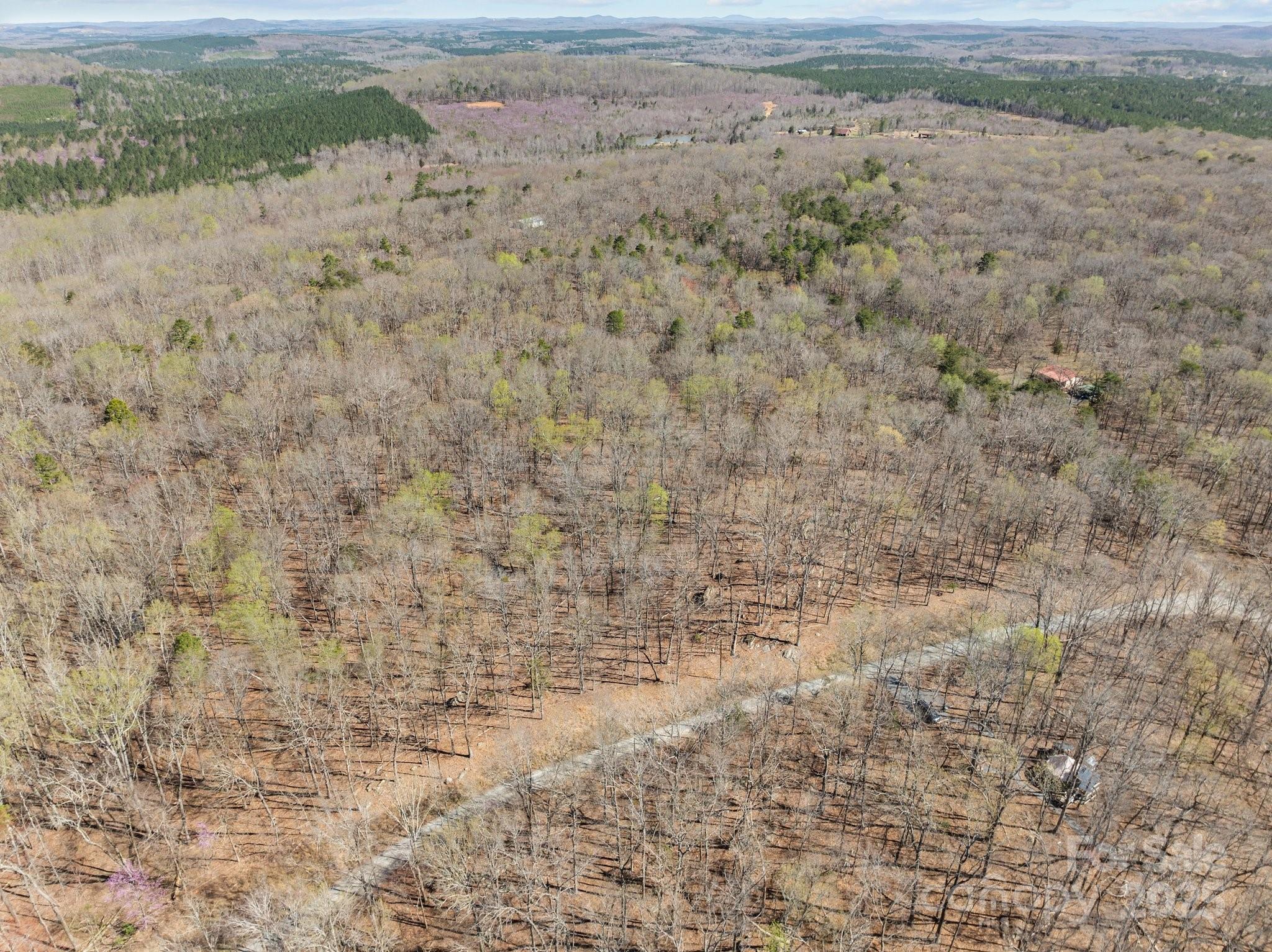 0 Pioneer Trail Denton, NC 27239 - Photo 8 of 21