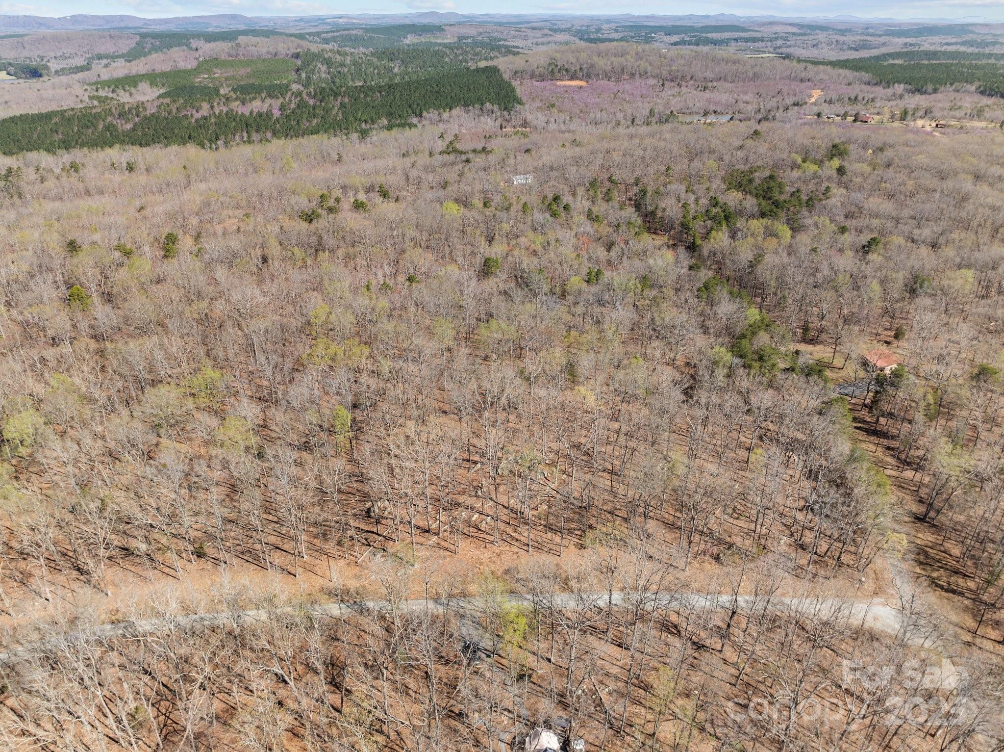 0 Pioneer Trail Denton, NC 27239 - Photo 9 of 21