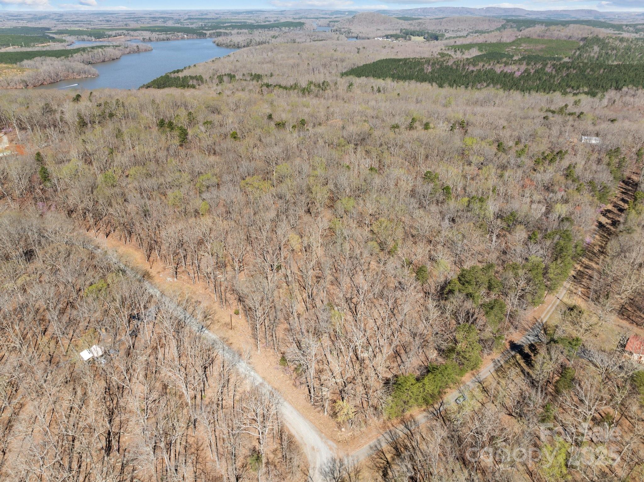 0 Pioneer Trail Denton, NC 27239 - Photo 10 of 21