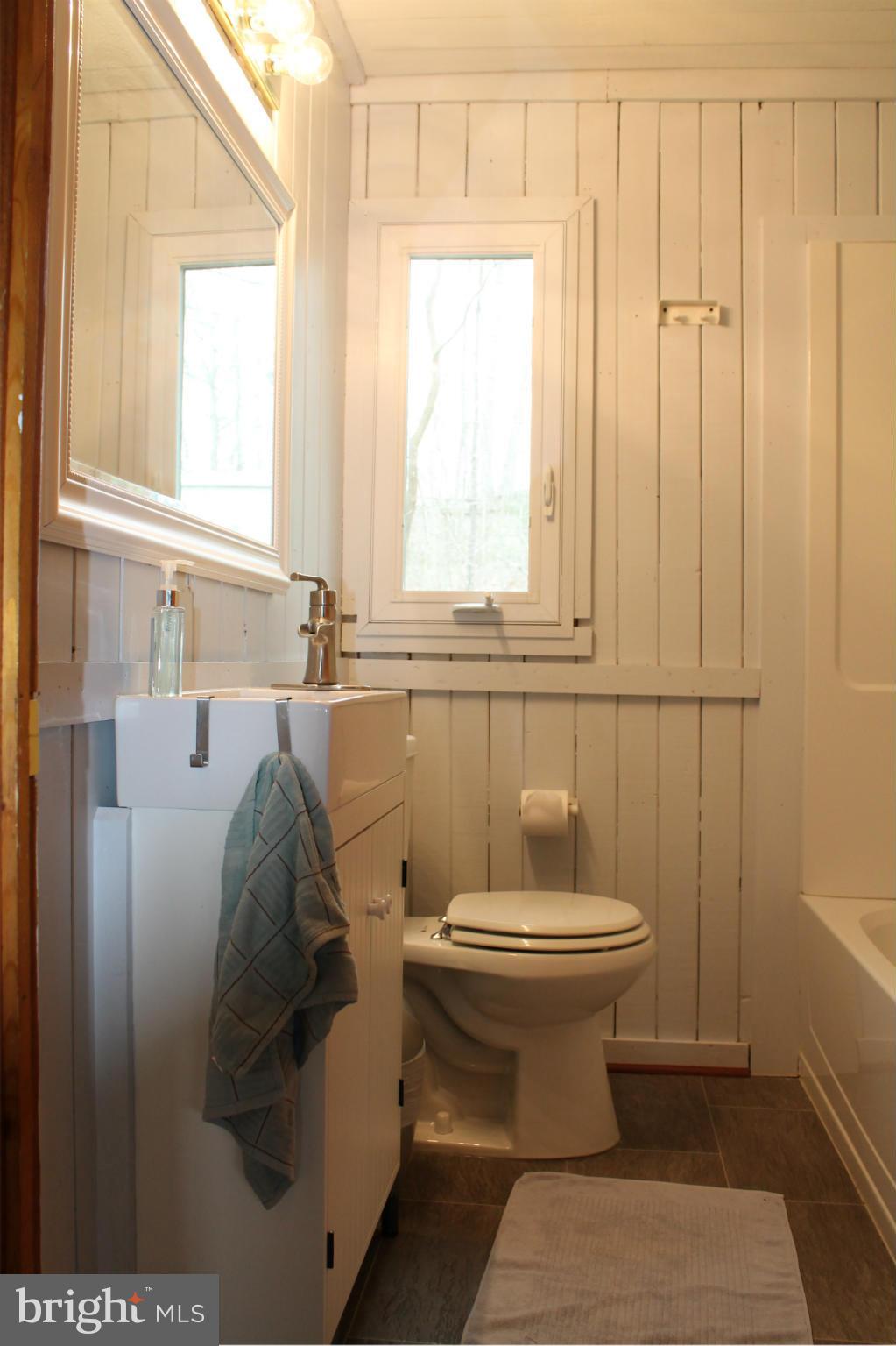 10389 River Road Rixeyville, VA 22737 - Photo 17 of 20 Bath